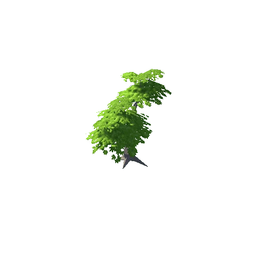 Maple Tree Green Mid 14